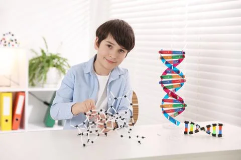 Boy making DNA structure model at desk indoors 스톡 사진