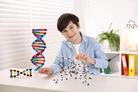 Boy making DNA structure model at desk indoors 스톡 사진