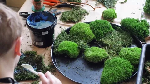 Boy making handmade plant composition with moss on master class Stock Footage 263121181