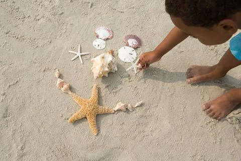 Boy making pattern with shells Stock Photos