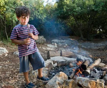 Boy marshmallow campfire Stock Photos