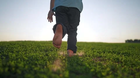 Boy moves slowly across summer field. Barefoot walking through soft grass Stock-Footage 316064483