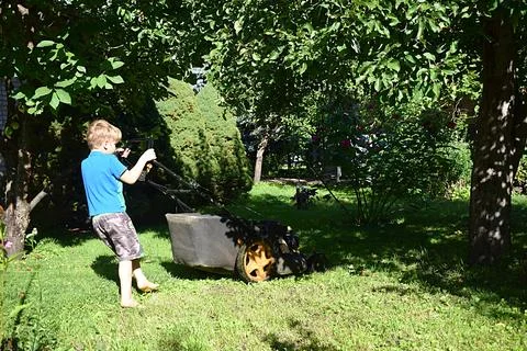 The boy mows the lawn with a mower Stock Photos
