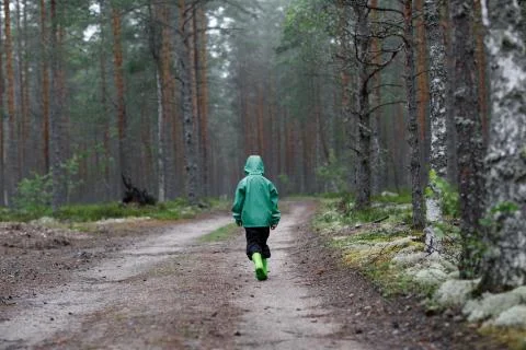 A boy mushroom picker keeps Stock Photos