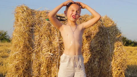 A boy near a haystack at sunset Stock Footage 241307597