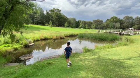 A boy near a pond Video stock 143646044