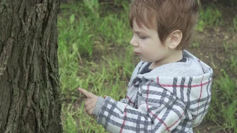 Boy near a tree plays 스톡 동영상 132102207