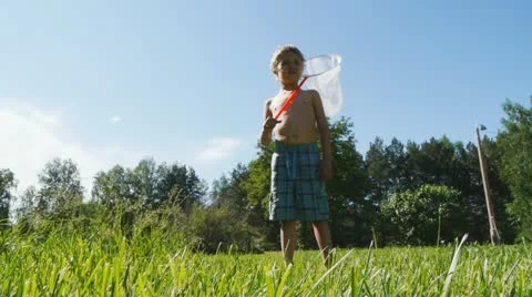 Boy with a net in the park Stock Footage 20430605
