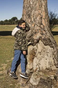 Boy next to a tree trunk. Stock Photos