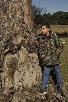 Boy next to a tree trunk. Stock Photos