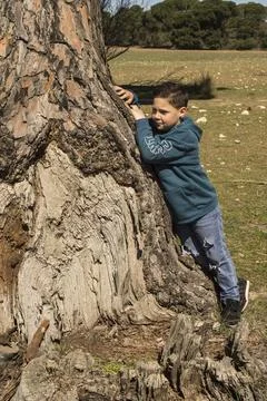 Boy next to a tree trunk. Stock Photos