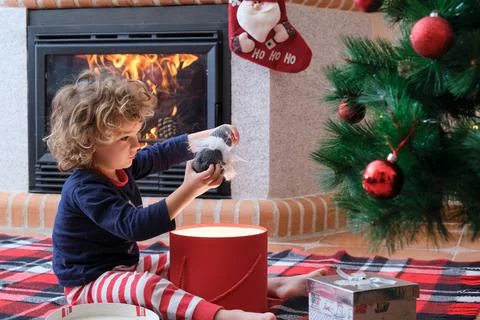Boy opening gift box under christmas tree Stock Photos