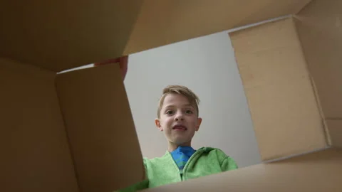 Boy Opens Cardboard Box. View From Inside The Box. Stock Footage 131160072