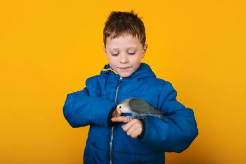 Boy in outerwear with parrot 스톡 사진