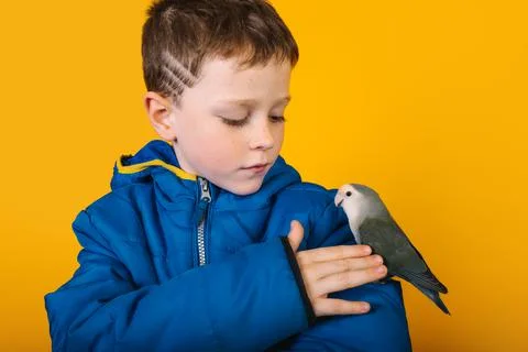 Boy in outerwear with parrot Foto stock
