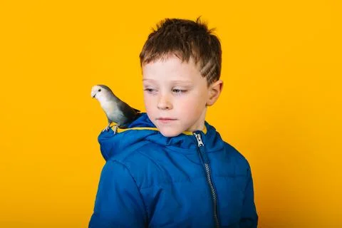 Boy in outerwear with parrot Foto stock