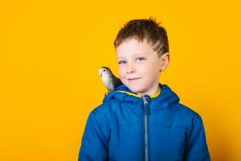 Boy in outerwear with parrot Foto stock