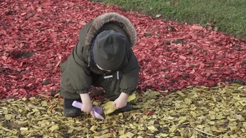 Boy in overalls plays on a flower bed covered with colored sawdust 스톡 동영상 142013390