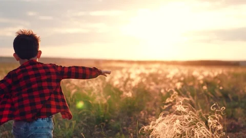 Boy overflowed with joy runs along field of plants at sunset with soaring spirit Stock Footage 255321598