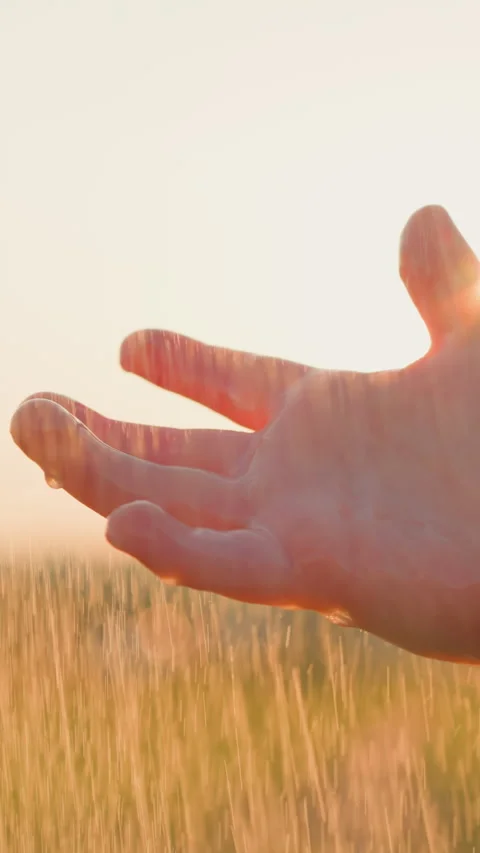 Boy palm outstretched under rainfall 스톡 동영상 273909442