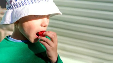 A boy in a panama hat eats sweet red strawberries. Copy space Stock Photos