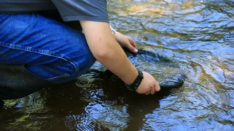 Boy panning for gold in River - Shallow Depth of Field Stock Footage 114794688