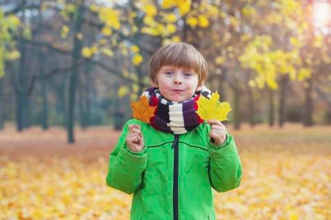 Boy in park in the fall Stock Photos