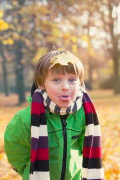 Boy in park in the fall Stock Photos