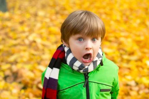 Boy in park in the fall Stock Photos