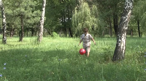 Boy in the park playing with a ball Stock Footage 978779