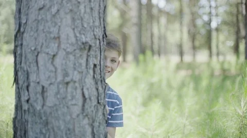 Boy peeking around tree trunk Stock Footage 75179110