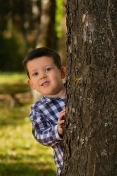 Boy peeks out from behind the tree. Stock Photos