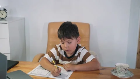A boy performs a task in an online lesson. The child communicates online while Stock Footage 156620932