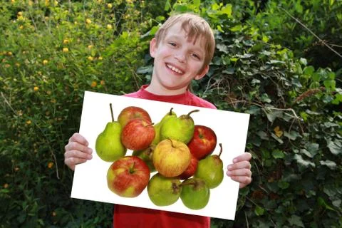 Boy Stock Photos