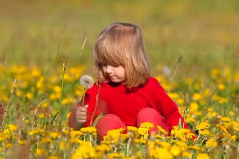 Boy picking dandelions Stock Photos