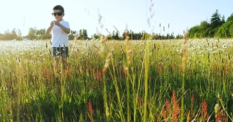 Boy picking flowers Stock Footage 110286491