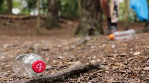 Boy Picking Up Plastic Bottle Litter From Woodland Track Stock Footage 106871297