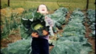 Boy Picks Cabbage From Farmhouse Garden 1950S Vintage Film Home Movie 1854 Stock Footage