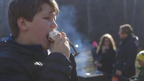 Boy at picnic eats a s'more Stock Footage 71106653