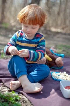 Boy at a picnic Stock Photos