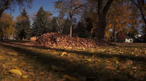 Boy Piling Up Leaves Stock Footage 50299277