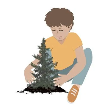 Boy planting coniferous tree. Vector hand drawn illustration Stock Illustration