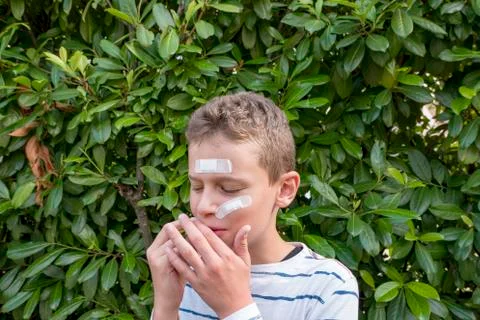 Boy with plaster on his face in front of a hedge looks sad Stock Photos