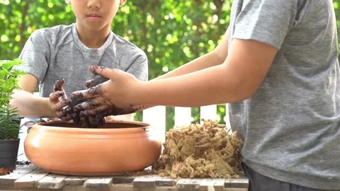 Boy play with a black soil Stock Footage 101812190