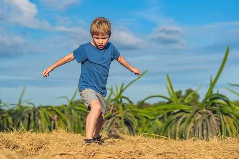 Boy play stand on haystack bales hay, getting ready to jump looking down, clear Stock Photos
