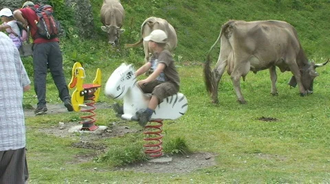 Boy on playground in front of cows Stock Footage 808996