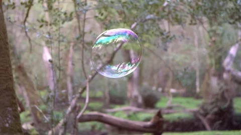Boy playing with Bubbles in the forrest in slow motion Stock Footage 74840706