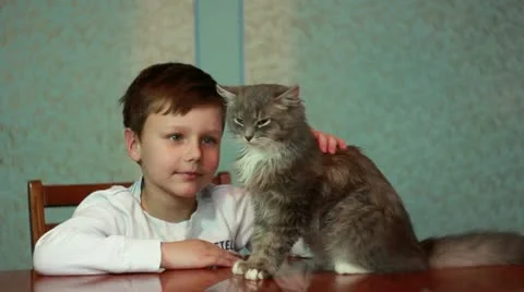 Boy playing with cat Stock-Footage 21065363