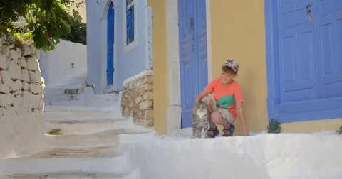 Boy is playing with a cat Stock Footage 83467633