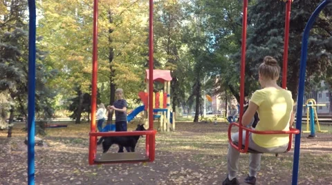 Boy playing with a cheerful dog. In the background, drive cars. Video stock 68175464